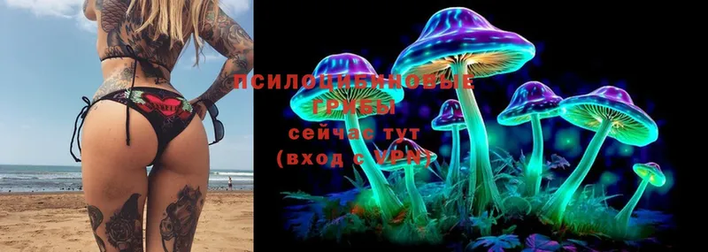 где купить наркотик  Кола  Галлюциногенные грибы MAGIC MUSHROOMS 